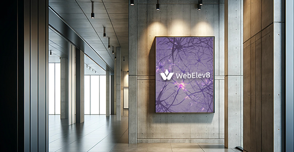 WebElev8 AI Web Design & Development
